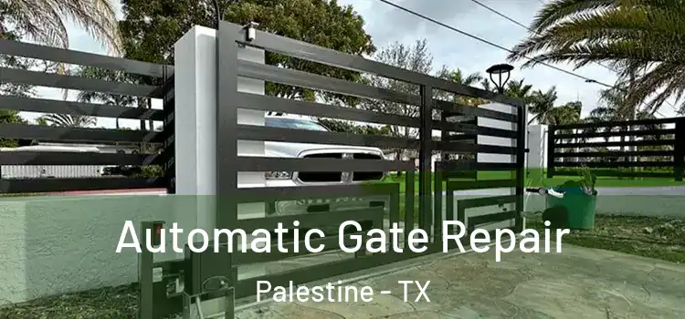 Automatic Gate Repair Palestine - TX