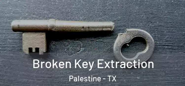 Broken Key Extraction Palestine - TX