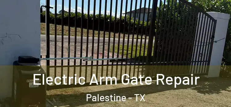 Electric Arm Gate Repair Palestine - TX