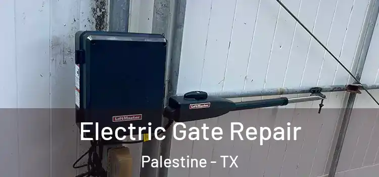  Electric Gate Repair Palestine - TX
