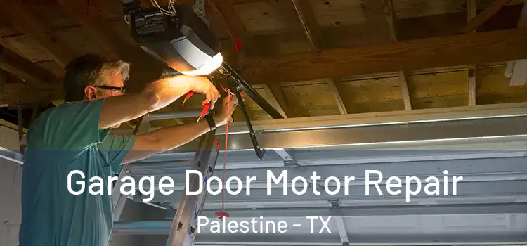  Garage Door Motor Repair Palestine - TX