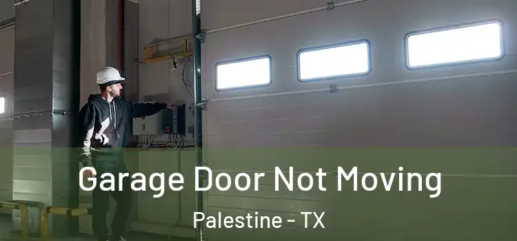  Garage Door Not Moving Palestine - TX