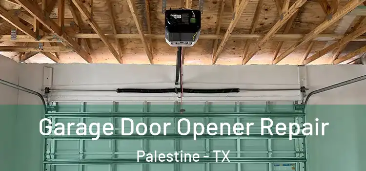  Garage Door Opener Repair Palestine - TX