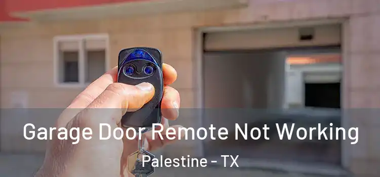  Garage Door Remote Not Working Palestine - TX