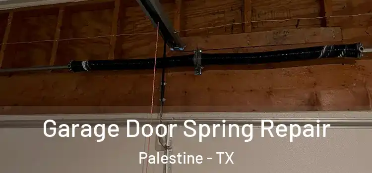  Garage Door Spring Repair Palestine - TX