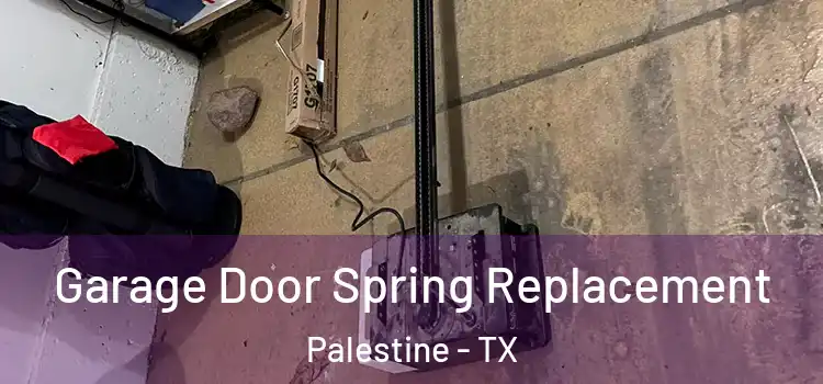  Garage Door Spring Replacement Palestine - TX