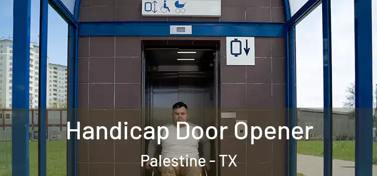 Handicap Door Opener Palestine - TX
