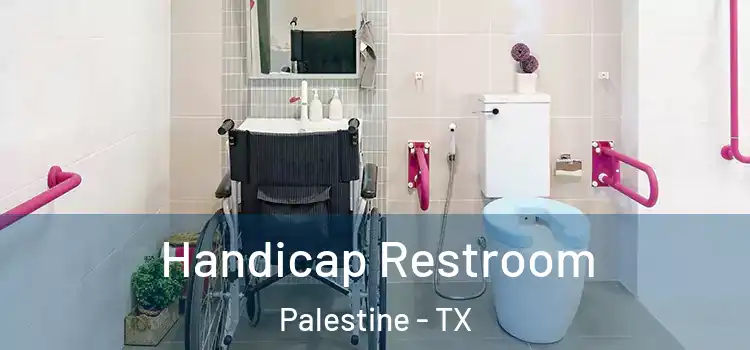  Handicap Restroom Palestine - TX