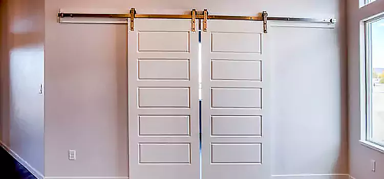 Glass Barn Door with Installation Hardware Kit Palestine