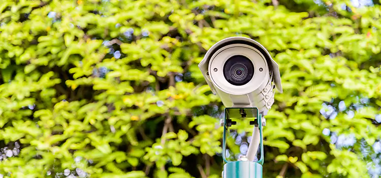 Advanced Surveillance Solutions for Every Need in Palestine