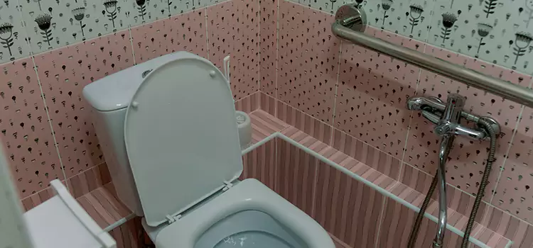 Meeting Diverse Needs With Accessible Restroom Solutions in Palestine, TX