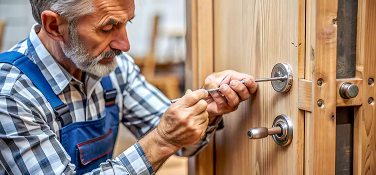 Mortise Replacement Lock Palestine
