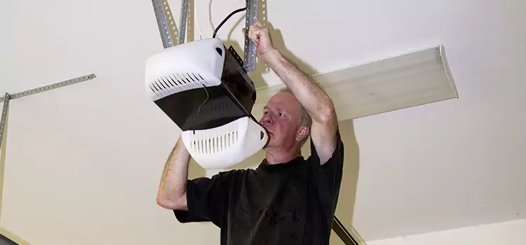 Garage Door Opener Service Palestine
