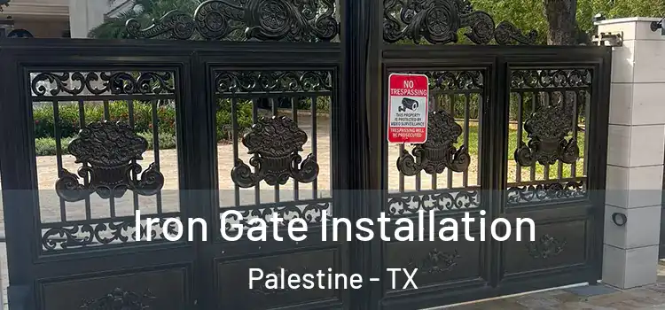 Iron Gate Installation Palestine - TX