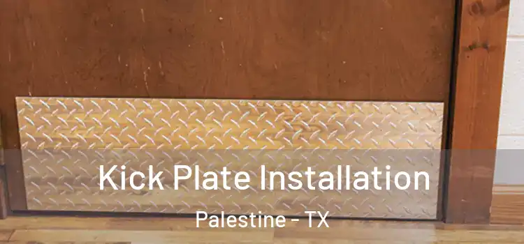  Kick Plate Installation Palestine - TX