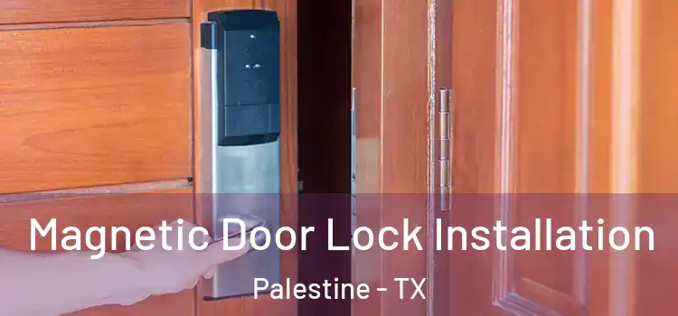  Magnetic Door Lock Installation Palestine - TX