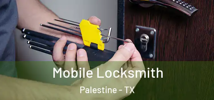  Mobile Locksmith Palestine - TX