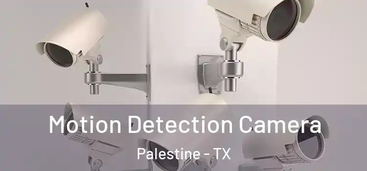  Motion Detection Camera Palestine - TX