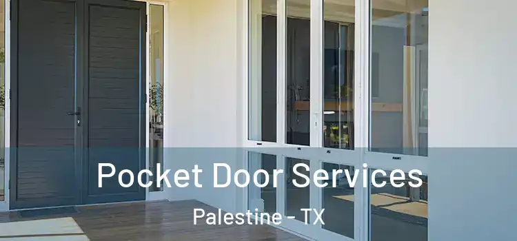  Pocket Door Services Palestine - TX