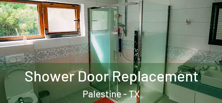 Shower Door Replacement Palestine - TX