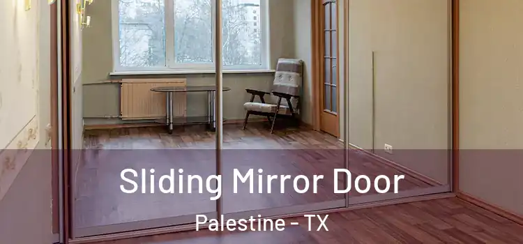  Sliding Mirror Door Palestine - TX