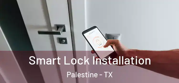 Smart Lock Installation Palestine - TX
